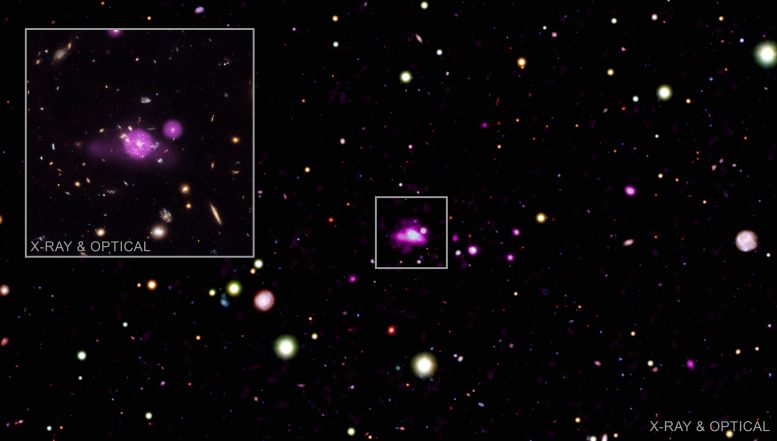 Spiderweb Galaxy Field Annotated