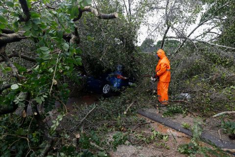 A municipal worker uses a saw to cut branches of a tree that fell on a car in Bentown, South Africa, on Tuesday, April 12.