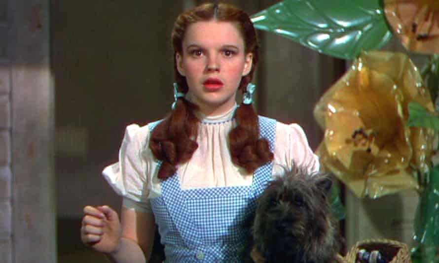 The Wizard of Oz - 1939 for absolute use only.  There is no use for book cover.  Mandatory credit: Photography by Mgm / Kobal / REX / Shutterstock (5886294aq) Judy Garland The Wizard Of Oz - 1939 Director: Victor Fleming MGM USA Scene Still Musical Le Magicien d'Oz