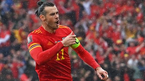 Bale celebrates during Wales' victory over Ukraine. 