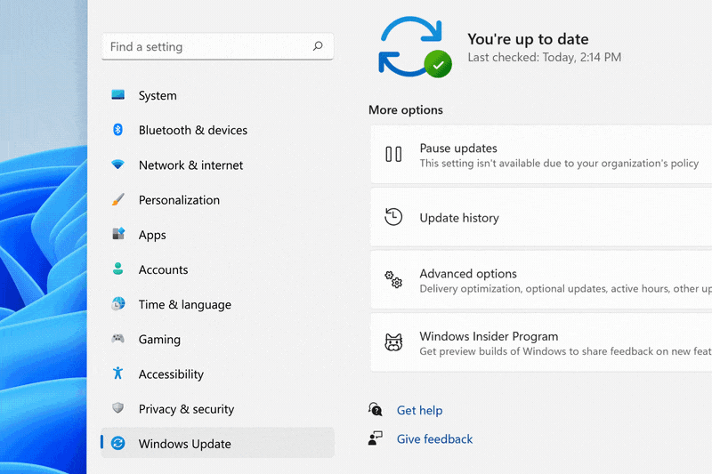 Settings menu in Windows 11 with pictorial icons