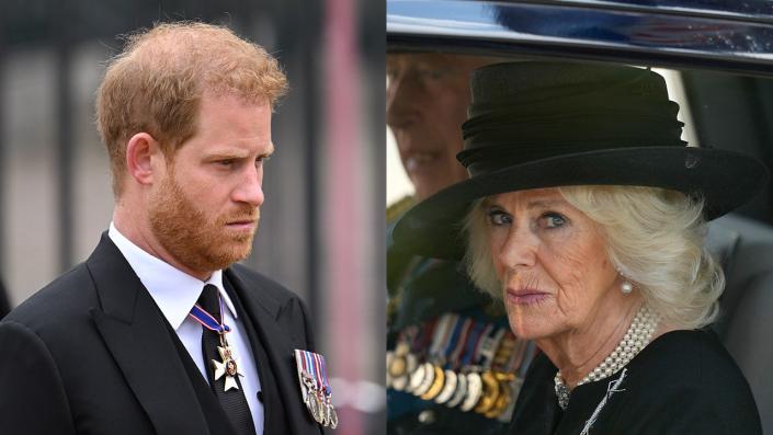 Prince Harry and Camilla look serious